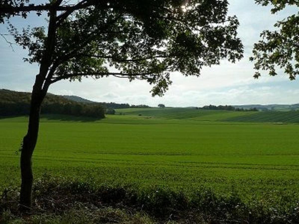 הוילה Sulzfeld  Feriendorf Sulzfeld מראה חיצוני תמונה